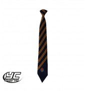Cathays High School Tie 